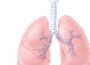 Lung Cancer Risk May Be Lowered By Vitamin B6 and Methionine
