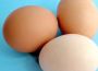 Egg Recall Update: Salmonella Outbreak Sparks Lawsuits and Investigations